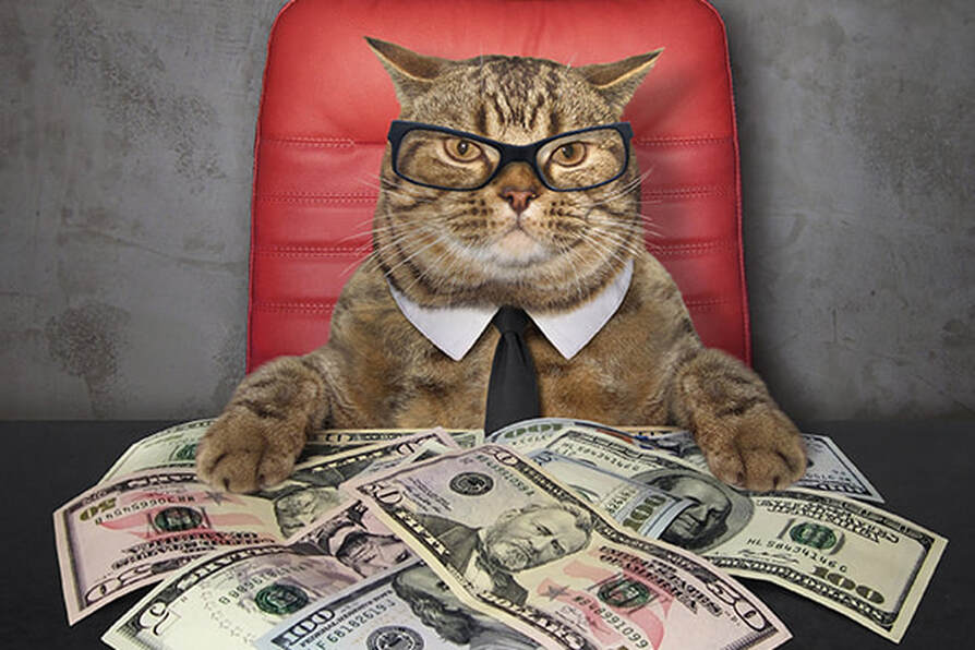 A fat cat sitting behind a desk full of money. Getting top price for your home.