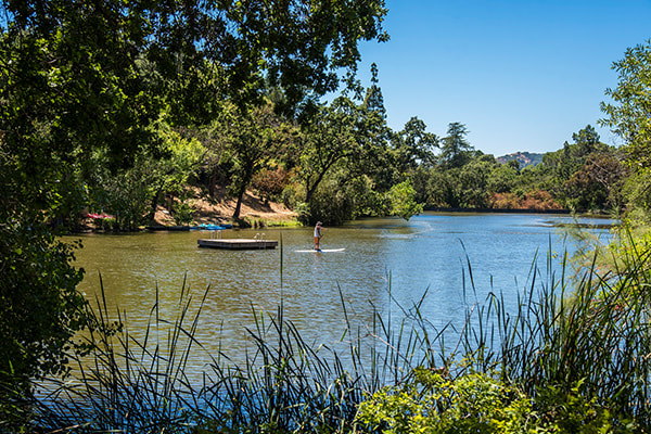 A Lake in Walnut Creek, where residents and visitors can take advantage of so many amenities.